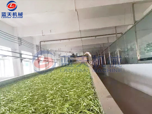 黃花菜烘干機(jī)現(xiàn)場(chǎng)實(shí)拍 黃花菜烘干機(jī)現(xiàn)場(chǎng)實(shí)拍