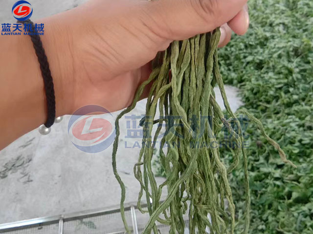 山東豆角烘干機(jī)烘干現(xiàn)場(chǎng) 山東豆角烘干機(jī)烘干現(xiàn)場(chǎng)