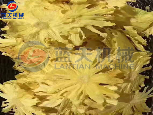 福建菠蘿烘干機(jī)扶貧項(xiàng)目 福建菠蘿烘干機(jī)扶貧項(xiàng)目