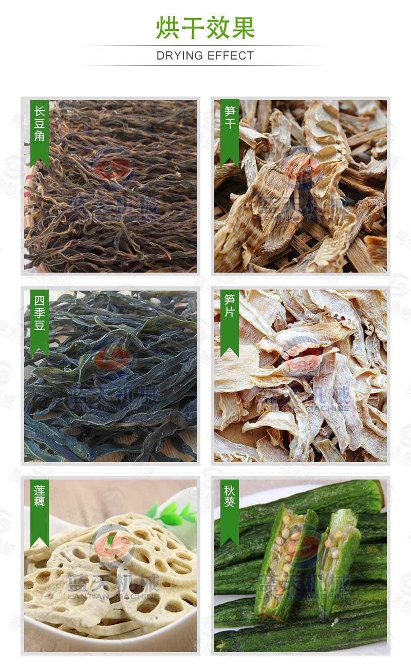 空氣能豆角烘干機(jī)烘干效果