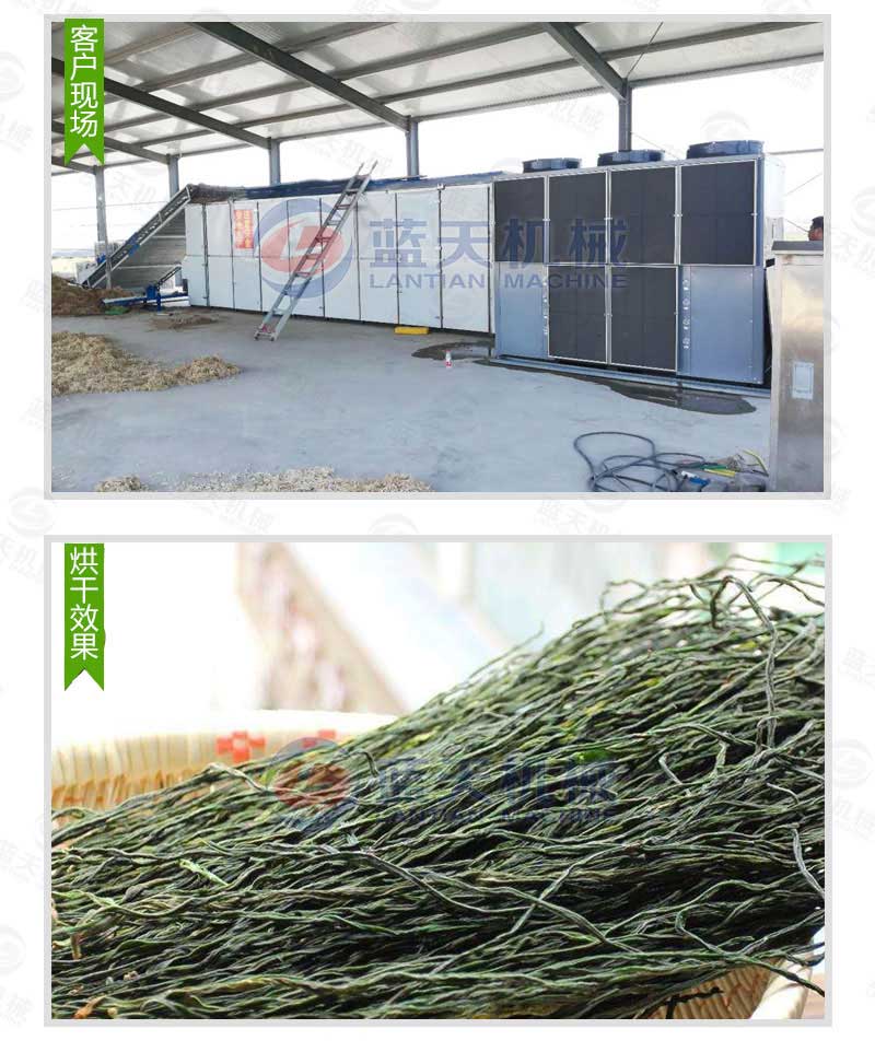 帶式豆角烘干機(jī)