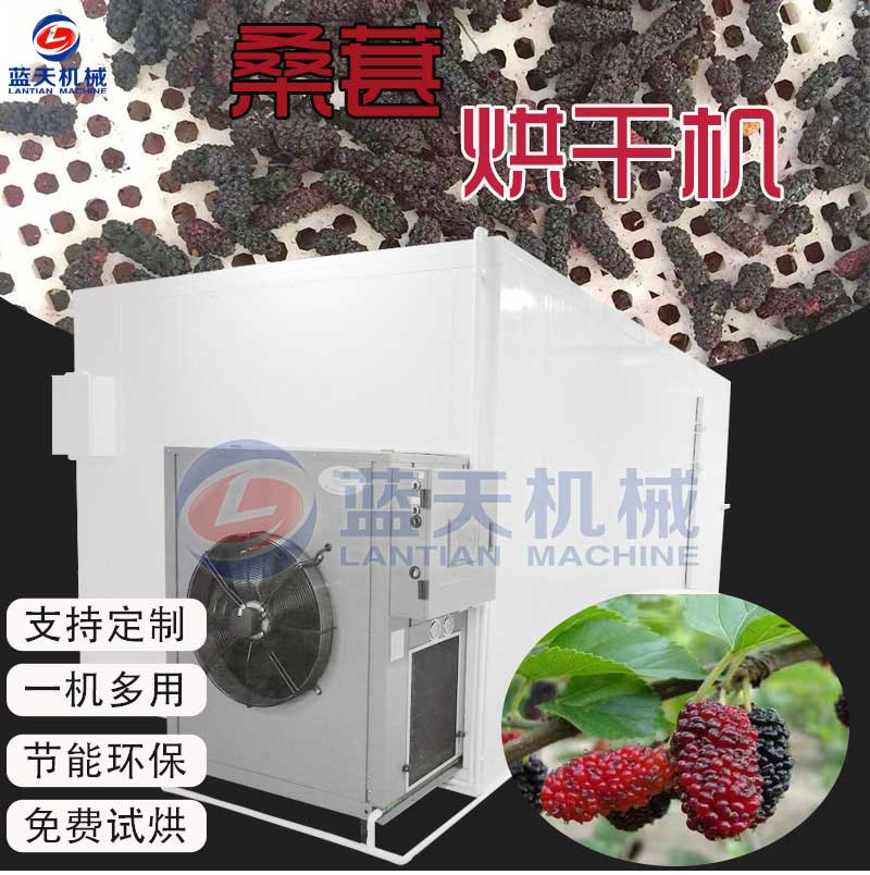桑葚烘干機(jī)