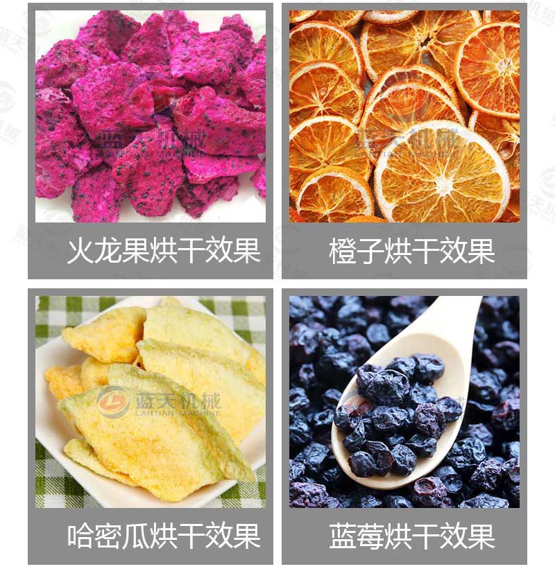 桑葚烘干機(jī)烘干效果