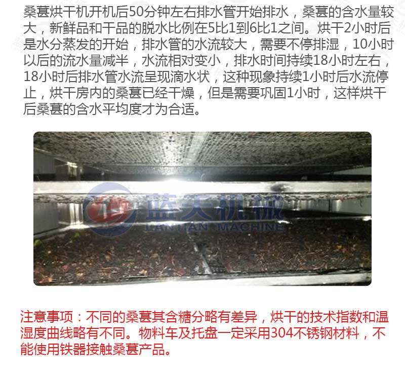 桑葚烘干機(jī)烘干工藝
