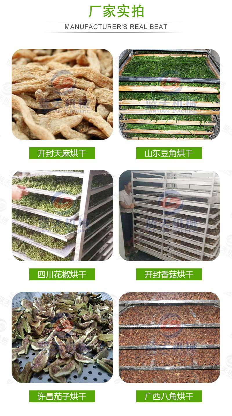 天麻烘干機(jī)廠(chǎng)家實(shí)拍
